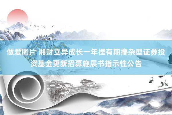做爱图片 湘财立异成长一年捏有期搀杂型证券投资基金更新招募施展书指示性公告