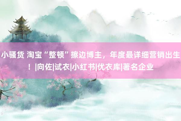 小骚货 淘宝“整顿”擦边博主，年度最详细营销出生！|向佐|试衣|小红书|优衣库|著名企业