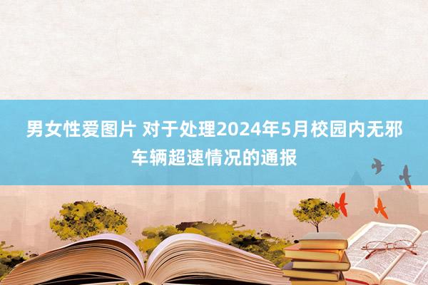 男女性爱图片 对于处理2024年5月校园内无邪车辆超速情况的通报