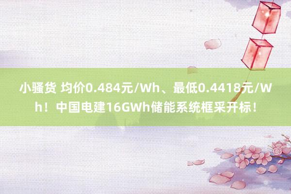 小骚货 均价0.484元/Wh、最低0.4418元/Wh！中国电建16GWh储能系统框采开标！