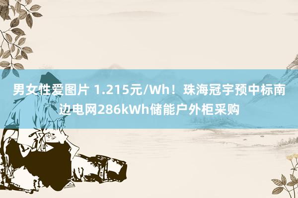 男女性爱图片 1.215元/Wh！珠海冠宇预中标南边电网286kWh储能户外柜采购