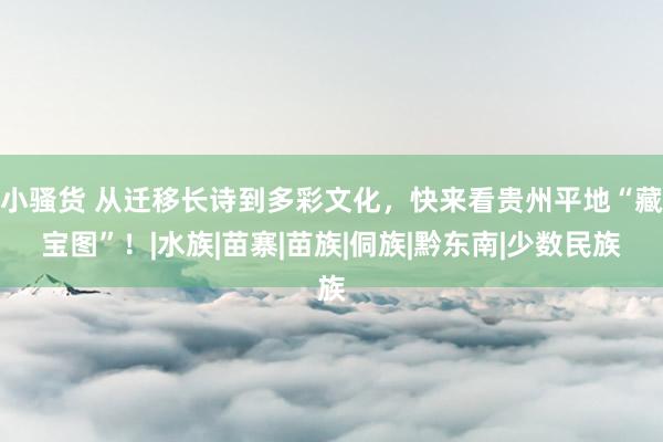 小骚货 从迁移长诗到多彩文化，快来看贵州平地“藏宝图”！|水族|苗寨|苗族|侗族|黔东南|少数民族