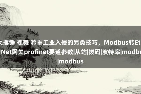 大摆锤 裸舞 矜重工业入侵的另类技巧，Modbus转EtherNet网关profinet要道参数|从站|拨码|波特率|modbus