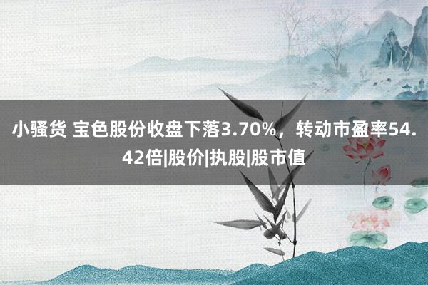小骚货 宝色股份收盘下落3.70%，转动市盈率54.42倍|股价|执股|股市值