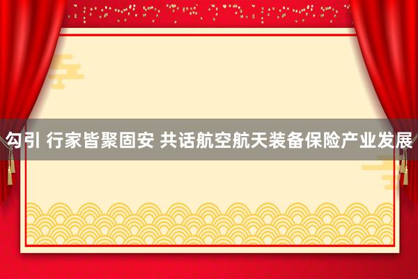 勾引 行家皆聚固安 共话航空航天装备保险产业发展