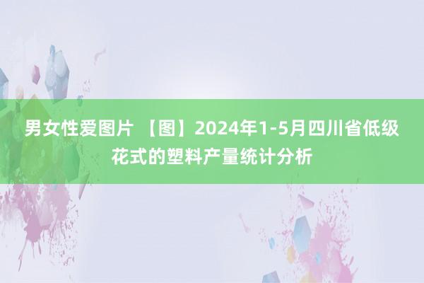 男女性爱图片 【图】2024年1-5月四川省低级花式的塑料产量统计分析