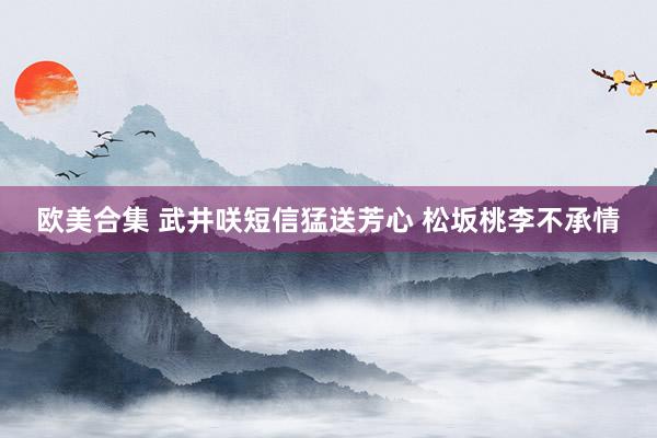欧美合集 武井咲短信猛送芳心 松坂桃李不承情