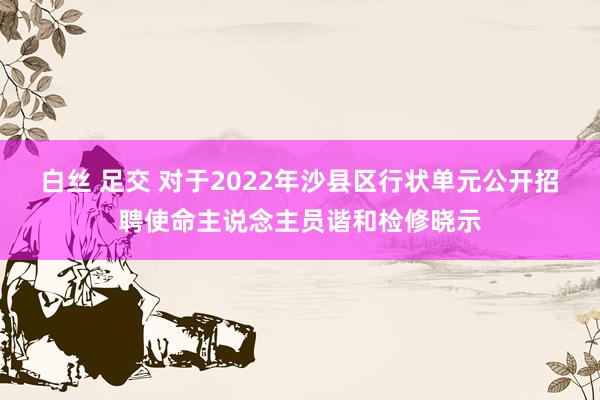 白丝 足交 对于2022年沙县区行状单元公开招聘使命主说念主员谐和检修晓示