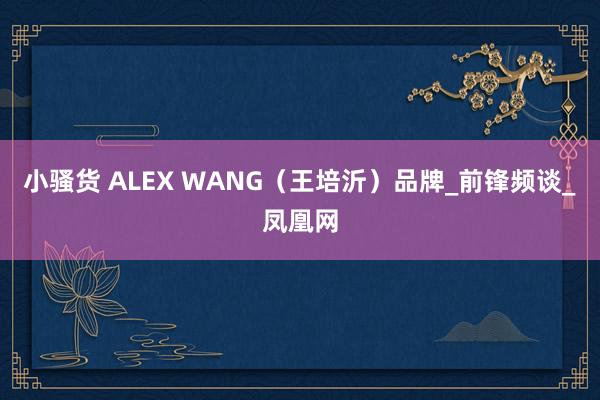 小骚货 ALEX WANG（王培沂）品牌_前锋频谈_凤凰网