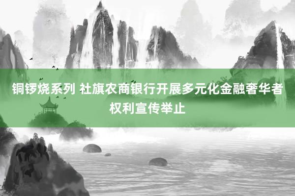 铜锣烧系列 社旗农商银行开展多元化金融奢华者权利宣传举止