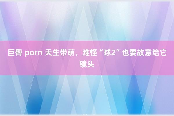巨臀 porn 天生带萌，难怪“球2”也要故意给它镜头