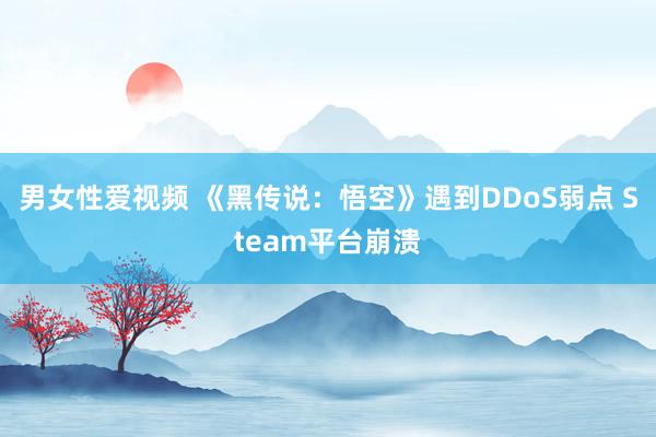 男女性爱视频 《黑传说：悟空》遇到DDoS弱点 Steam平台崩溃