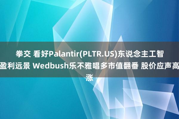拳交 看好Palantir(PLTR.US)东说念主工智能盈利远景 Wedbush乐不雅唱多市值翻番 股价应声高涨