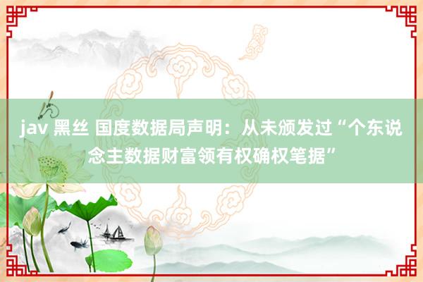 jav 黑丝 国度数据局声明：从未颁发过“个东说念主数据财富领有权确权笔据”