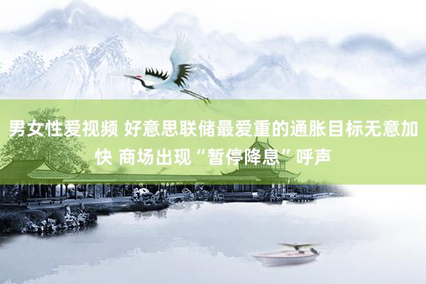 男女性爱视频 好意思联储最爱重的通胀目标无意加快 商场出现“暂停降息”呼声