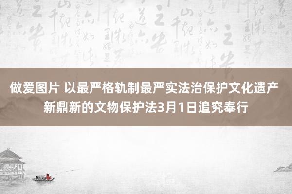 做爱图片 以最严格轨制最严实法治保护文化遗产 新鼎新的文物保护法3月1日追究奉行