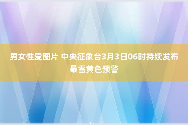 男女性爱图片 中央征象台3月3日06时持续发布暴雪黄色预警
