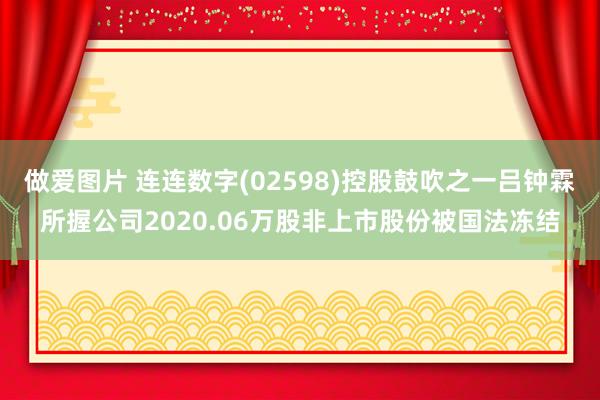 做爱图片 连连数字(02598)控股鼓吹之一吕钟霖所握公司2020.06万股非上市股份被国法冻结