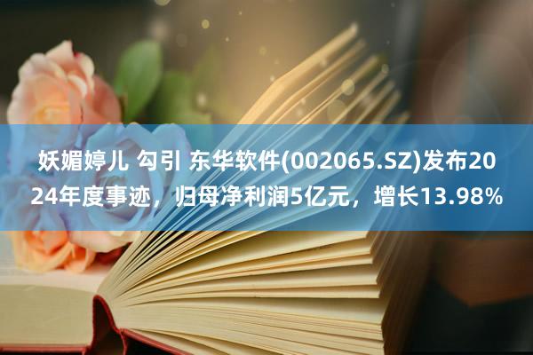 妖媚婷儿 勾引 东华软件(002065.SZ)发布2024年度事迹，归母净利润5亿元，增长13.98%